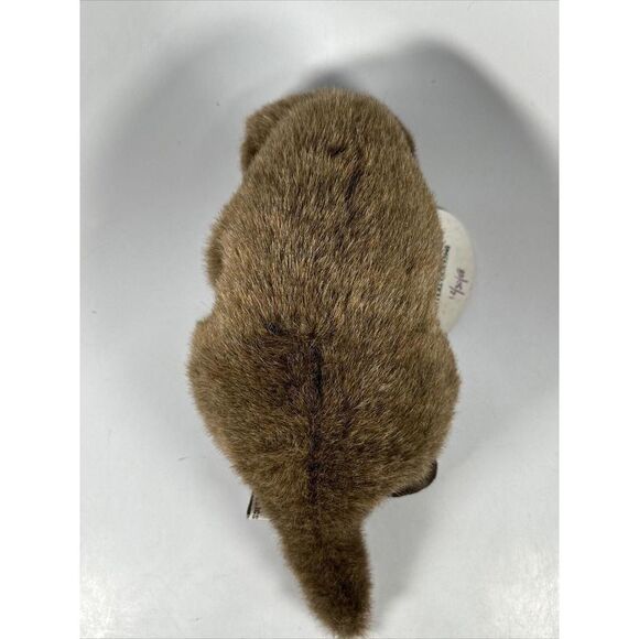 American Country Classics | Sea Otter Holding Seashell Plush | Monterey CA 13” - Picture 3 of 8